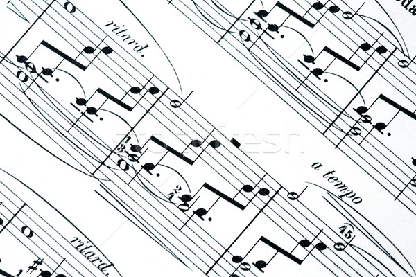 Music notes background Stock photo © brebca