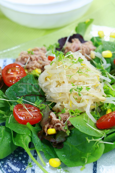 Green salad with tunny Stock photo © brebca