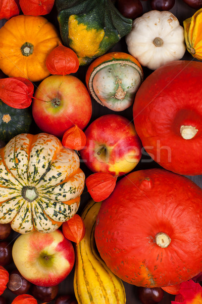 Thanksgiving background Stock photo © brebca