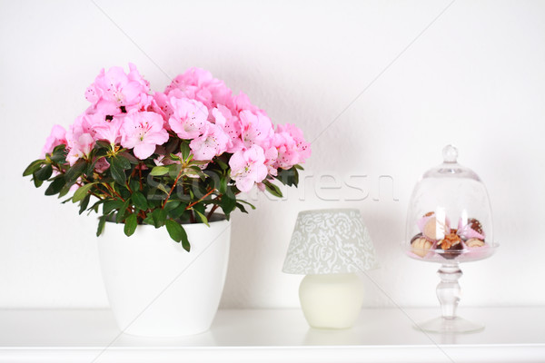 Foto stock: Flores · interior · detalle · diferente · blanco · madera