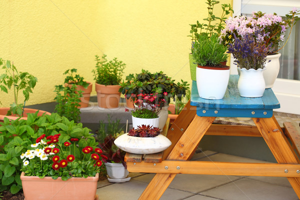 Terrace or roof gardening Stock photo © brebca