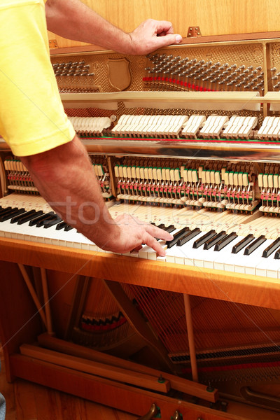 Piano tuner Stock photo © brebca