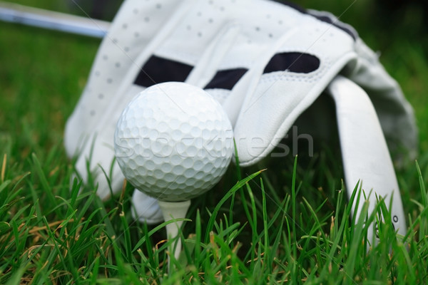 Golf Stock photo © brebca
