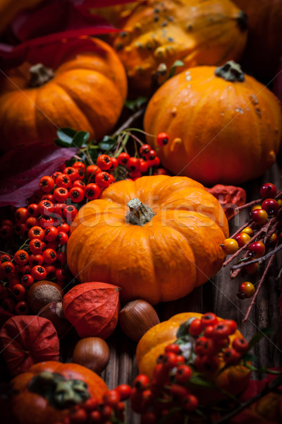 Pumpkins and Thanksgiving Stock photo © brebca