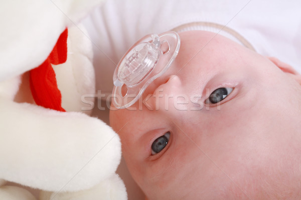 Bébé Teddy portrait cute peu heureux [[stock_photo]] © brebca