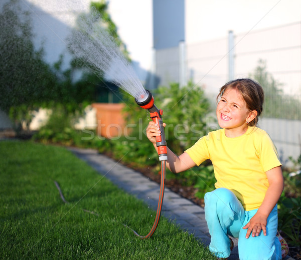 Watering Stock photo © brebca