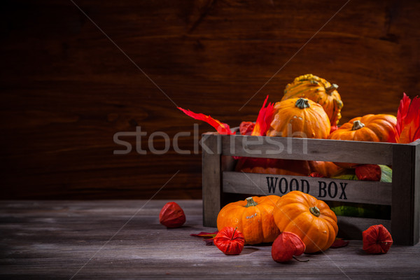 Pumpkins and Thanksgiving Stock photo © brebca