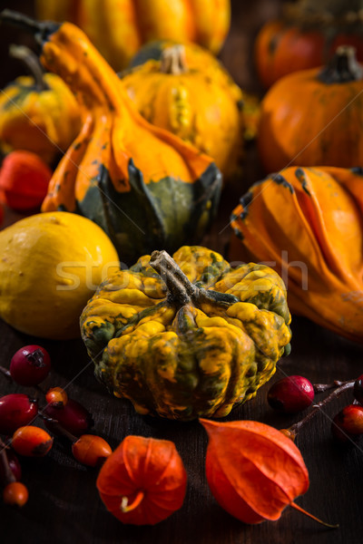 Pumpkin still life for Thanksgiving  Stock photo © brebca