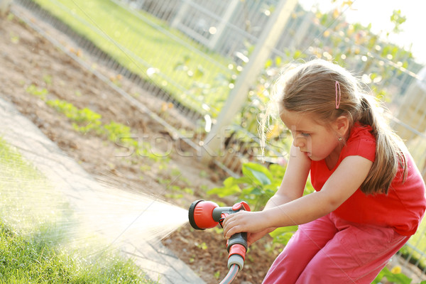 Stock photo: Watering