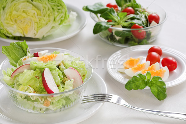 Healthy salads Stock photo © brebca
