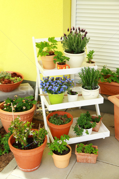 商業照片: 小 · 屋頂 · 草本植物 · 庭園 · 花園 · 花