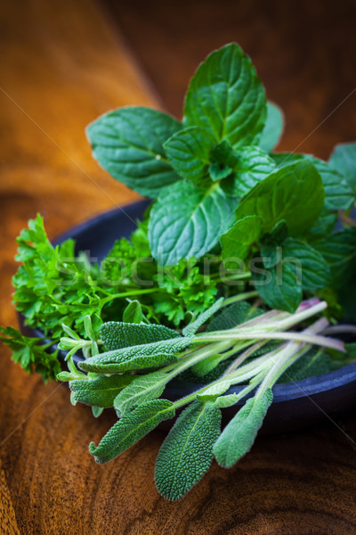 Fresh herbs from garden Stock photo © brebca
