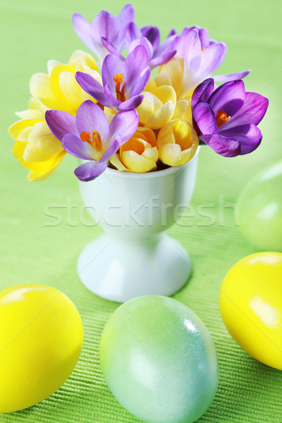 Beautiful Crocuses for Easter Stock photo © brebca