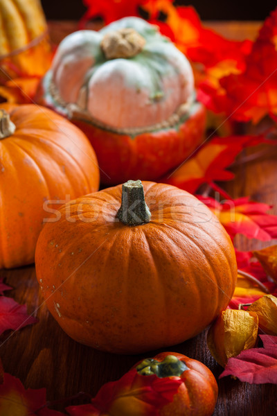 Pumpkins for Thanksgiving  Stock photo © brebca