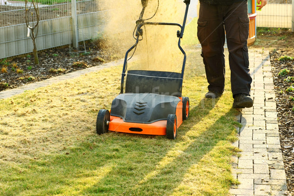 Using a scarifier Stock photo © brebca