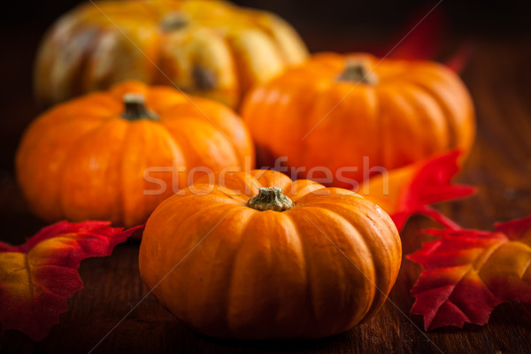 Thanksgiving and  Halloween Stock photo © brebca