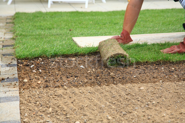 Verlegung neue Rasen Mann Garten Hände Stock foto © brebca