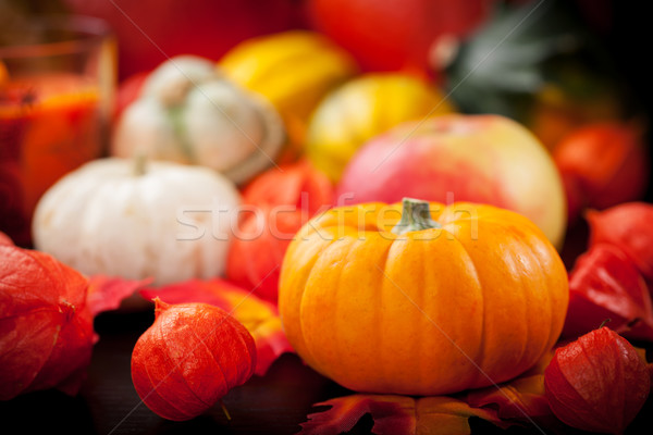 Happy Thanksgiving Stock photo © brebca