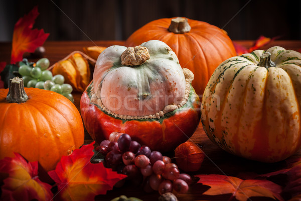 Pumpkins for Thanksgiving and  Halloween Stock photo © brebca