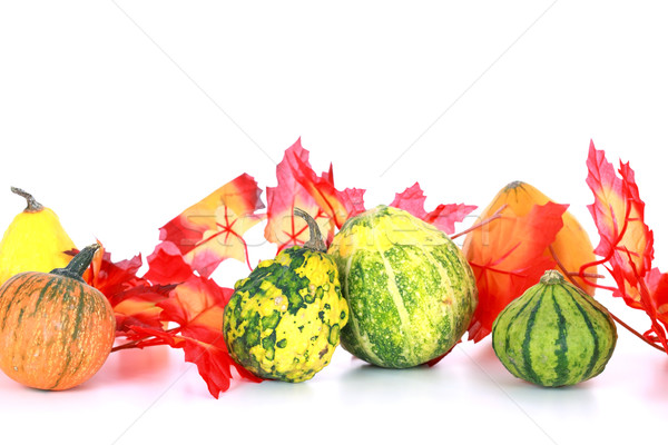 Thanksgiving Stock photo © brebca