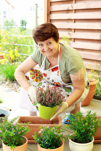 Replanting Stock photo © brebca