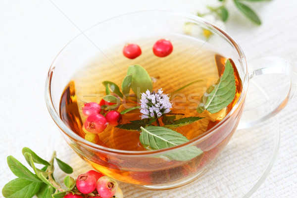 Vitalitás vörösáfonya tea menta bogyó víz Stock fotó © brebca