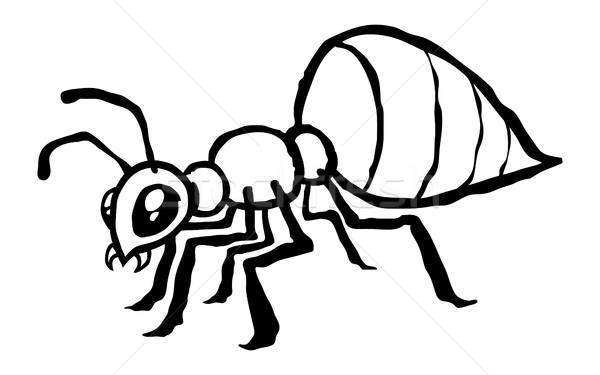 Karınca doğa bahçe arka plan çizim böcek Stok fotoğraf © briangoff