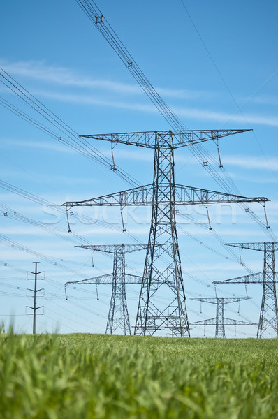 Power Lines with Blue Sky and Green Grass Stock photo © brianguest