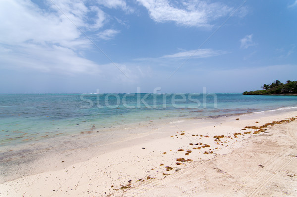 Słoneczny Karaibów plaży piękna piaszczysty piasku Zdjęcia stock © brianguest
