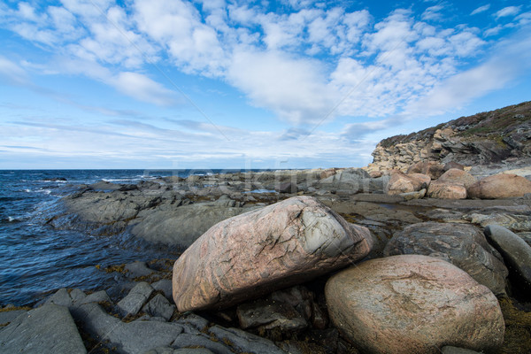 Rugged Newfoundland Coastline Stock photo © brianguest