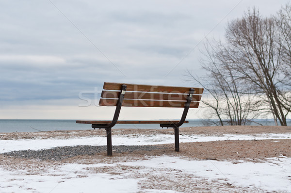 空的 公園 長凳 湖 冬天 岸邊 商業照片 © brianguest