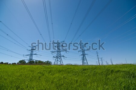 Elektomos tornyok elektromosság hosszú vonal hordoz Stock fotó © brianguest