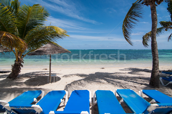 Stockfoto: Zon · caribbean · strand · Blauw · wit · zand · palmbomen