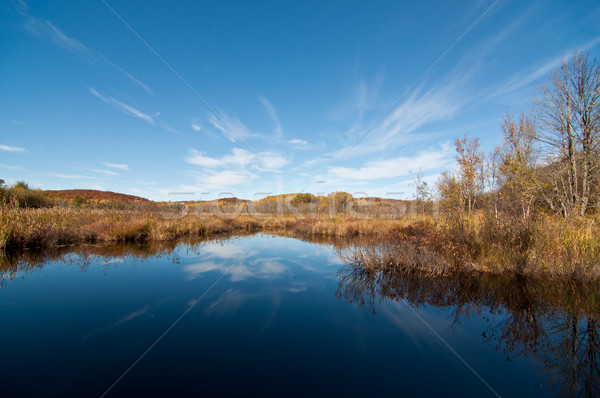 Autumn Landscape with Pond and Reflections Stock photo © brianguest