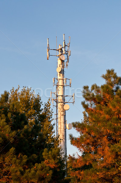 White Telecom Tower with Trees and Blue Sky Stock photo © brianguest