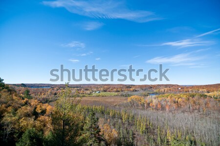 Otono paisaje cielo azul Canadá nubes Foto stock © brianguest