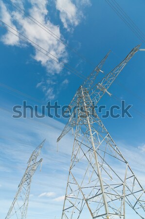 Elektomos tornyok elektromosság vonal hordoz nagyfeszültség Stock fotó © brianguest