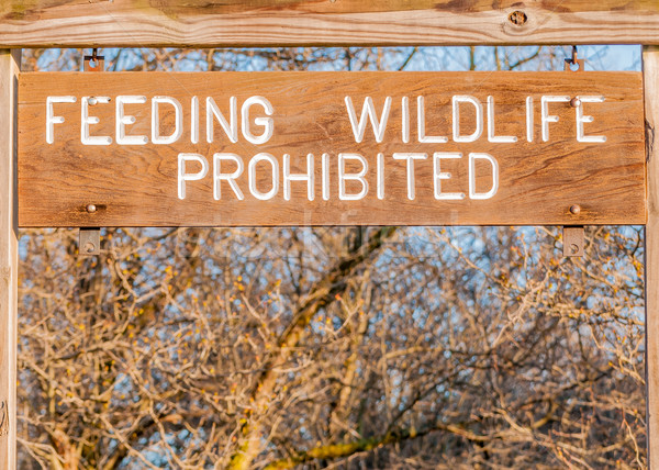 Feeding Wildlife Prohibited  Stock photo © brm1949