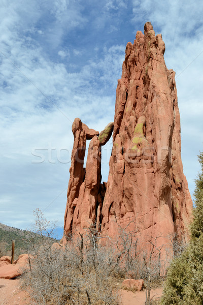 Garden Of The Gods Cathedral Spires Stock photo © brm1949