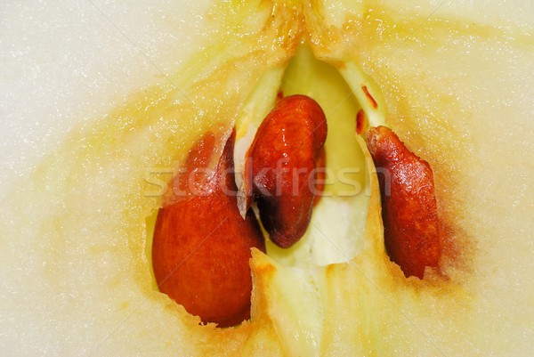 Pomme core macro coup [[stock_photo]] © brm1949