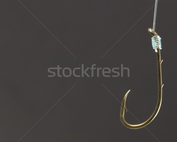 Fishing Hook Stock photo © brm1949