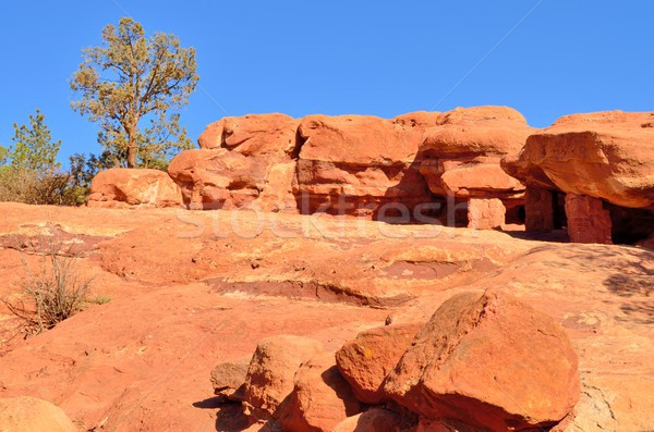 Garden Of The Gods Stock photo © brm1949