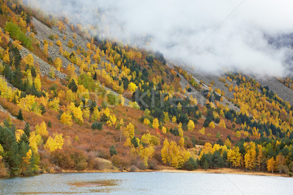 Berg See Herbst Farben wenig Sonne Stock foto © broker