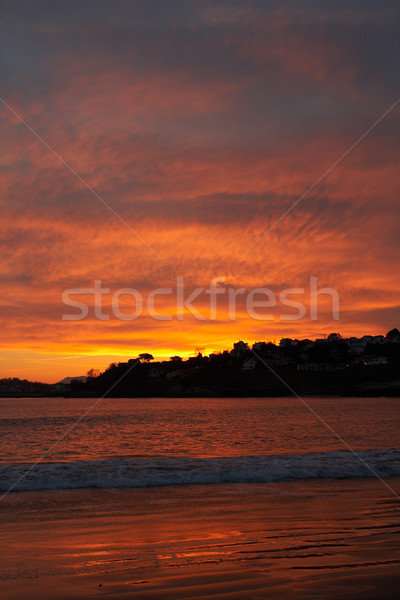 Seenlandschaft sunrise Frühling Himmel Wolken Wald Stock foto © broker