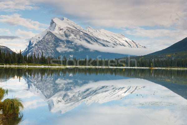 Lago Canadá parque agua nieve árboles Foto stock © broker