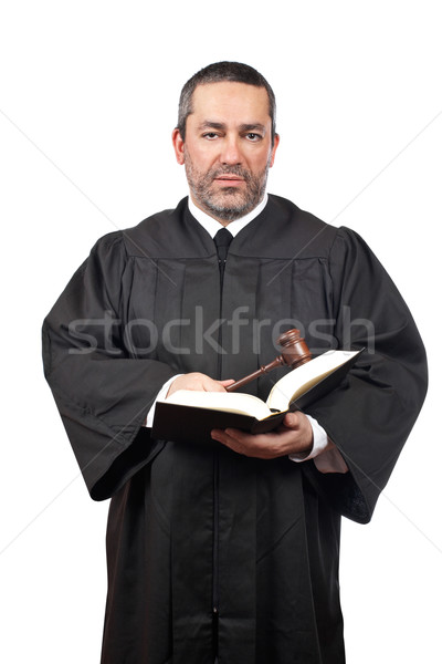 Judge holding the gavel and book Stock photo © broker
