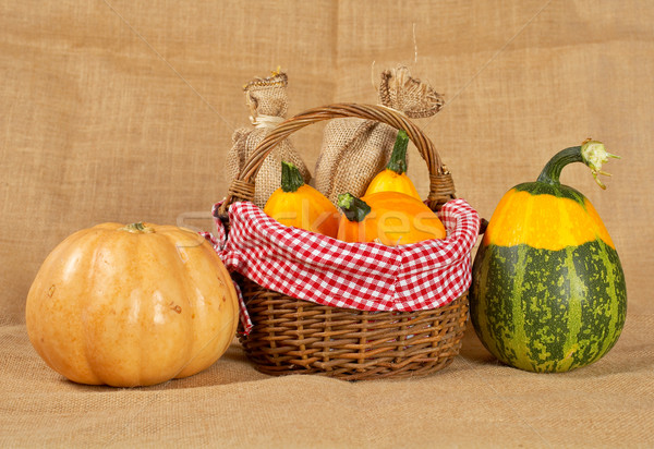 Pumpkins Stock photo © broker