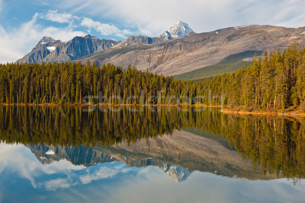 Leach Lake Stock photo © broker