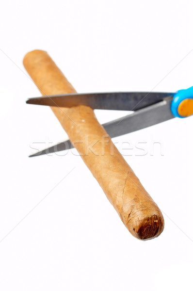 Stockfoto: Cubaans · sigaar · schaar · witte · ondiep