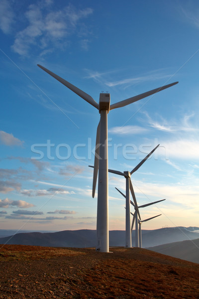 Wind turbines farm Stock photo © broker